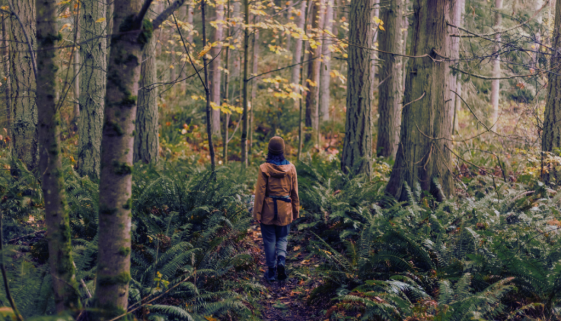 New possibilities after post-traumatic growth