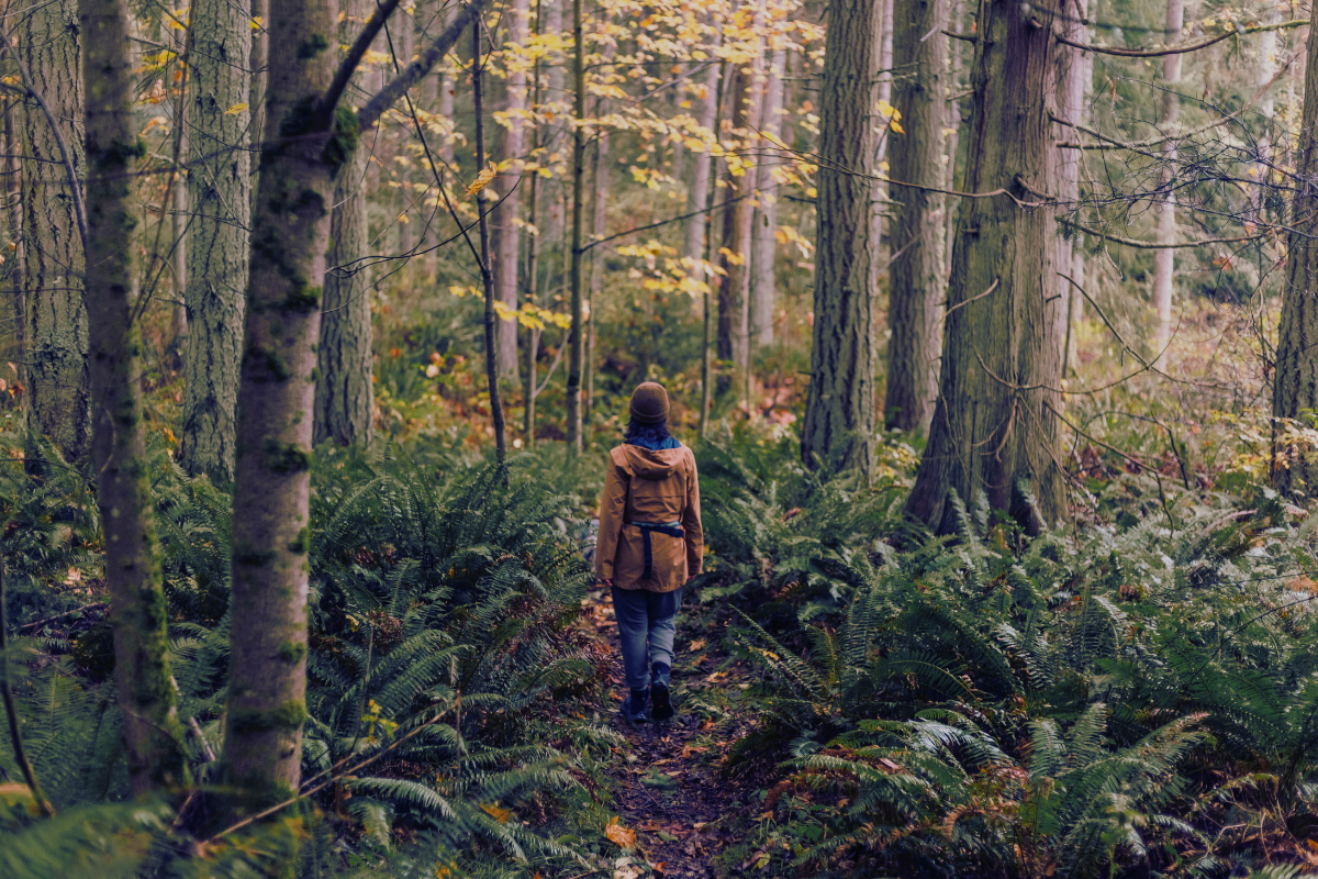 New possibilities after post-traumatic growth